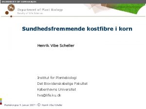 UNIVERSITY OF COPENHAGEN Plant Biochemistry Sundhedsfremmende kostfibre i
