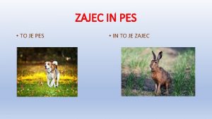 ZAJEC IN PES TO JE PES IN TO