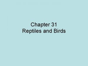 Chapter 31 Reptiles and Birds Birds Amphibians Fishes