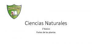 Ciencias Naturales 1bsico Partes de las plantas Objetivo