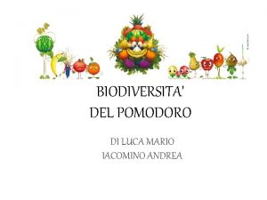 BIODIVERSITA DEL POMODORO DI LUCA MARIO IACOMINO ANDREA