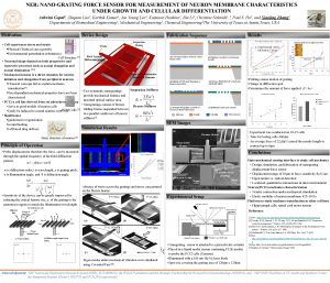 NER NANOGRATING FORCE SENSOR FOR MEASUREMENT OF NEURON