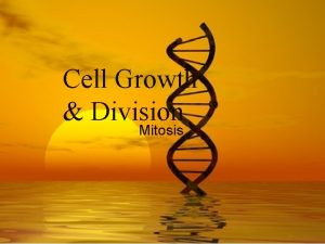 Cell Growth Division Mitosis Why do Cells Reproduce