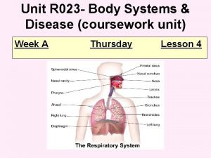 Unit R 023 Body Systems Disease coursework unit