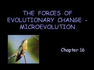 THE FORCES OF EVOLUTIONARY CHANGE MICROEVOLUTION Chapter 16