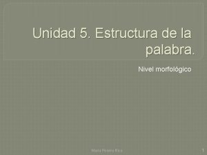 Unidad 5 Estructura de la palabra Nivel morfolgico