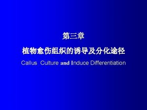 Callus Culture and Induce Differentiation n Callus Explants