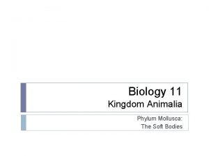 Biology 11 Kingdom Animalia Phylum Mollusca The Soft