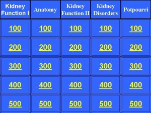 Kidney Anatomy Potpourri Function II Disorders Function I