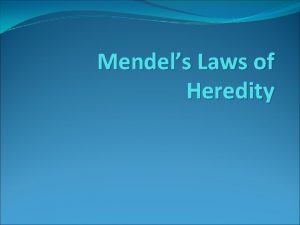 Mendels Laws of Heredity Gregor Mendel Austrian monk