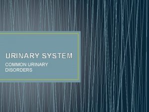 URINARY SYSTEM COMMON URINARY DISORDERS RENAL CALCULI Kidney