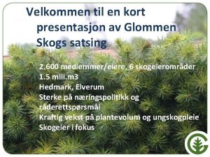 Velkommen til en kort presentasjon av Glommen Skogs