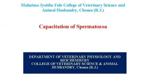 Mahatma Jyotiba Fule College of Veterinary Science and