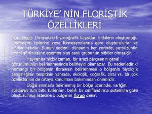 TRKYE NN FLORSTK ZELLKLER Flora Nedir Dnyadaki biyocorafik