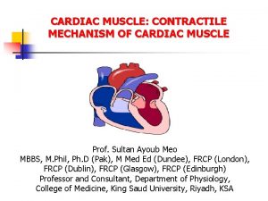 CARDIAC MUSCLE CONTRACTILE MECHANISM OF CARDIAC MUSCLE Prof