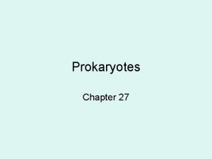 Prokaryotes Chapter 27 Theyre almost everywhere Most prokaryotes
