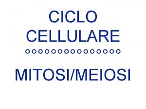 CICLO CELLULARE MITOSIMEIOSI CICLO CELLULARE La divisione cellulare