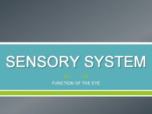 SENSORY SYSTEM FUNCTION OF THE EYE EYE Protected