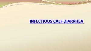 INFECTIOUS CALF DIARRHEA Commonest Infectious Diarrheal Agents Bacteria