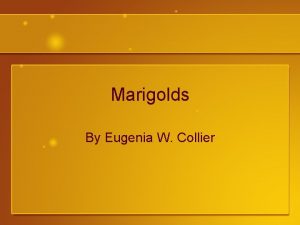 Marigolds By Eugenia W Collier Symbolism What do