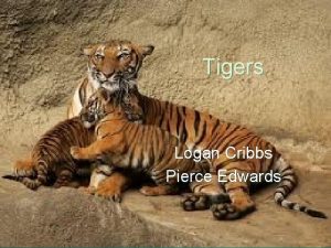 Tigers Logan Cribbs Pierce Edwards Movement Tigers can