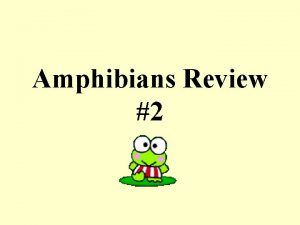 Amphibians Review 2 3 Tympanic membrane 1 is