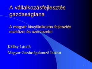 A vllalkozsfejleszts gazdasgtana A magyar kisvllalkozsfejleszts eszkzei s