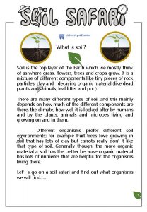 What is soil Soil is the top layer