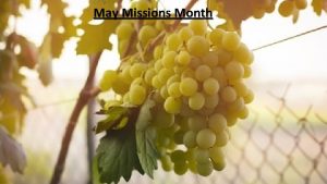 May Missions Month May Missions Month I am
