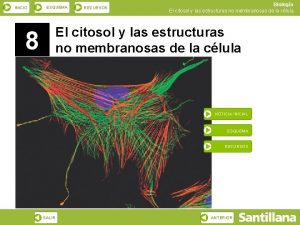 INICIO ESQUEMA RECURSOS Biologa El citosol y las