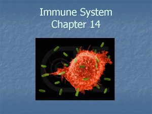 Immune System Chapter 14 Humans have two major