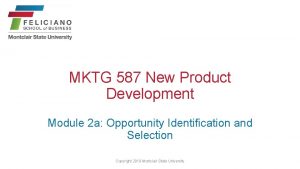 MKTG 587 New Product Development Module 2 a