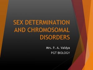 SEX DETERMINATION AND CHROMOSOMAL DISORDERS Mrs P A