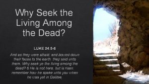 Why Seek the Living Among the Dead LUKE