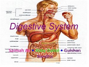 Digestive System Saimah Ali Abby Daitol Gulshan Nandha