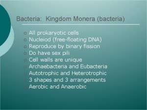 Bacteria Kingdom Monera bacteria All prokaryotic cells Nucleiod