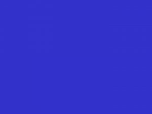 Tissues Definition Tissues Definition Collections of cells Tissues Tissues Definition Tissues Definition Collections of cells Tissues