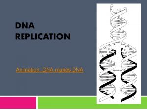 DNA REPLICATION Animation DNA makes DNA DNA vs