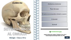 FLORIN VIU Alctuirea scheletului Tipuri de oase Structura