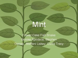 Mint Flower Cake Fish Snake Brooke Apodaca Stephen