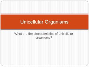 Unicellular Organisms What are the characteristics of unicellular