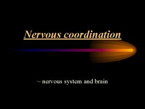 Nervous coordination nervous system and brain Nervous system