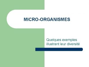 MICROORGANISMES Quelques exemples illustrant leur diversit Bactries du