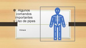 Algunos comandos importantes y Uso de pipes linux