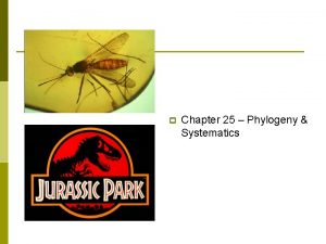 p Chapter 25 Phylogeny Systematics Phylogeny p p