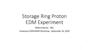 Storage Ring Proton EDM Experiment William Morse BNL