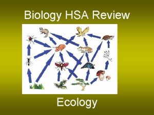 Biology HSA Review Ecology A food web is