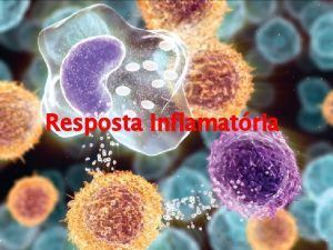 Resposta Inflamatria Inflamao Insulto infeccioso qumico ou fsico