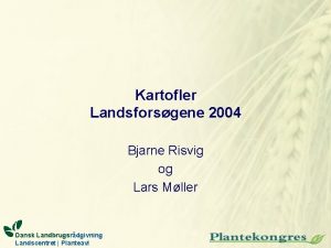 Kartofler Landsforsgene 2004 Bjarne Risvig og Lars Mller