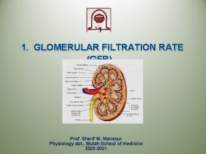 1 GLOMERULAR FILTRATION RATE GFR Prof Sherif W